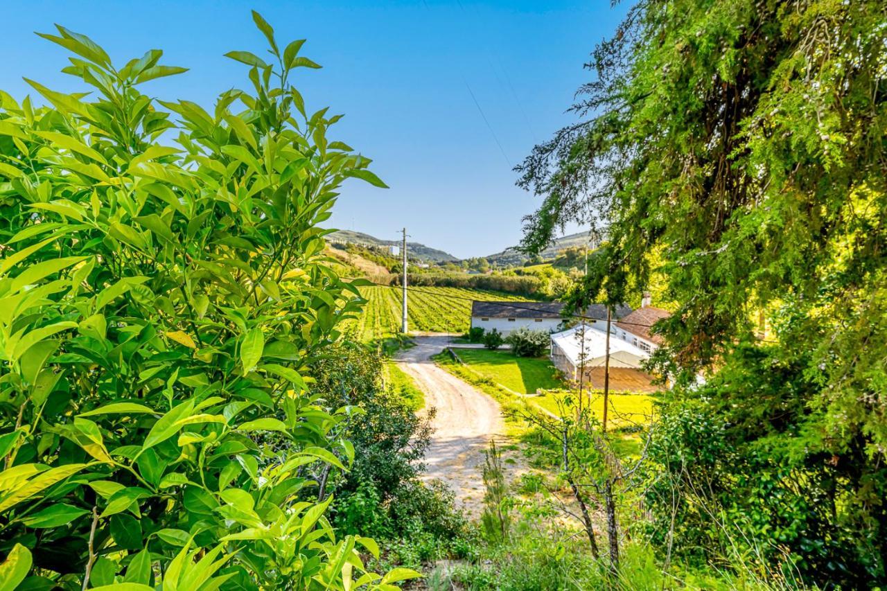 Villa Quinta Do Boicao Lisbona Esterno foto