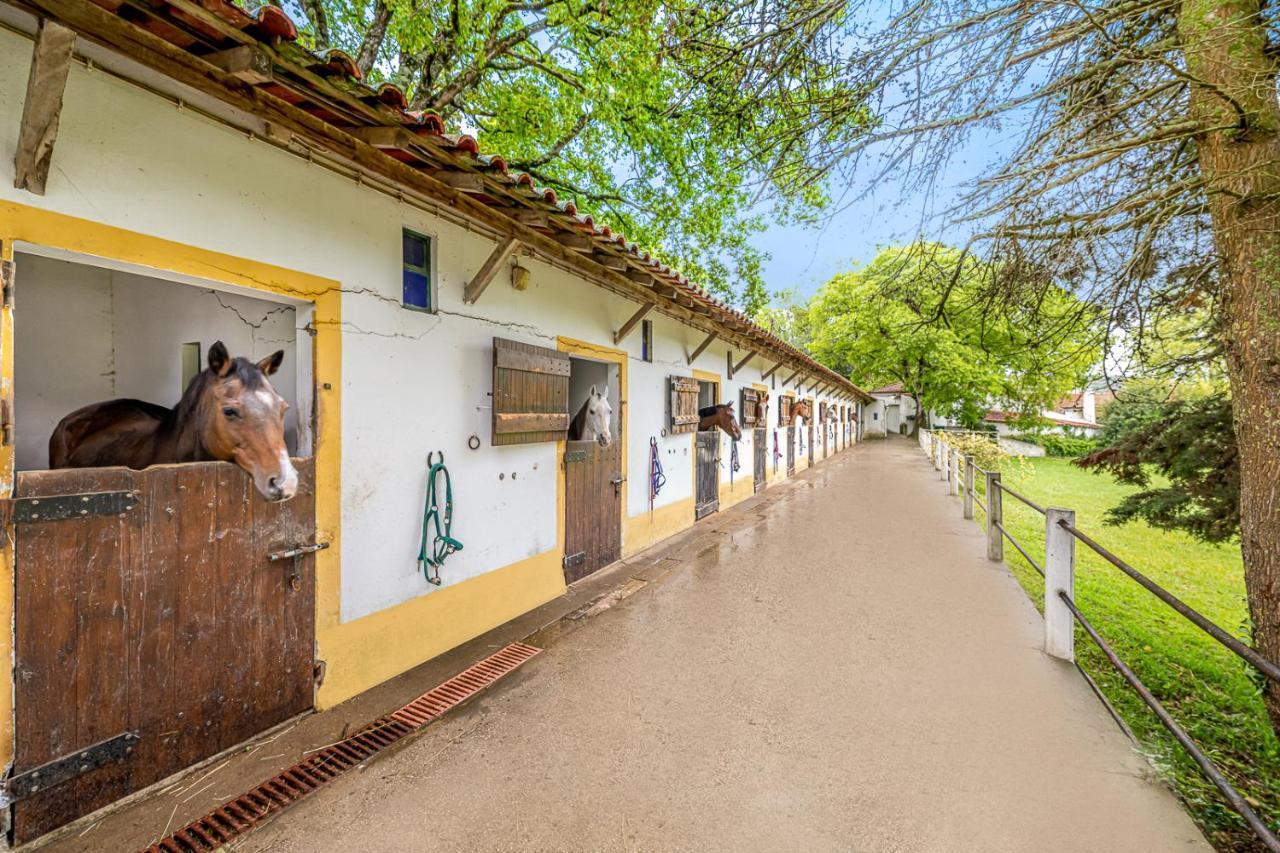 Villa Quinta Do Boicao Lisbona Esterno foto