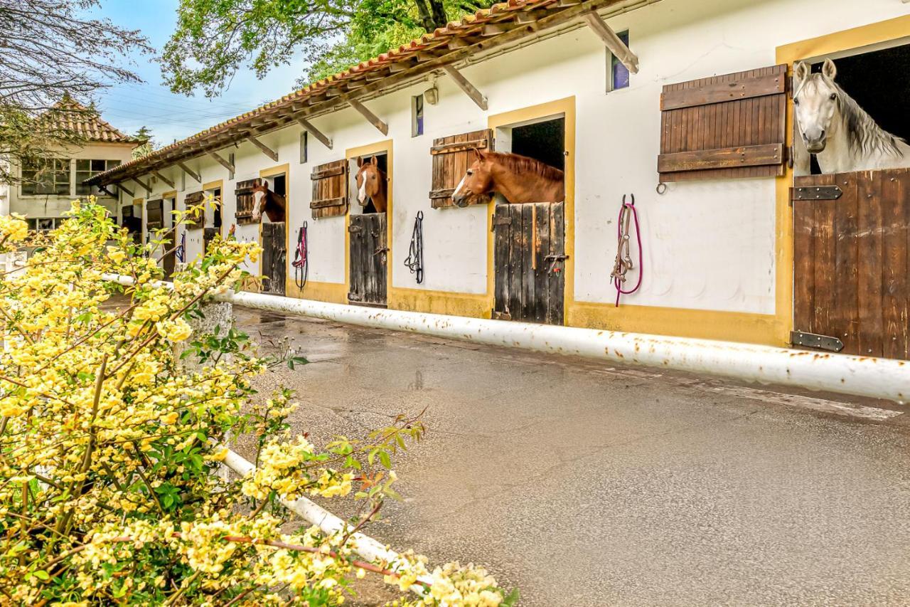 Villa Quinta Do Boicao Lisbona Esterno foto